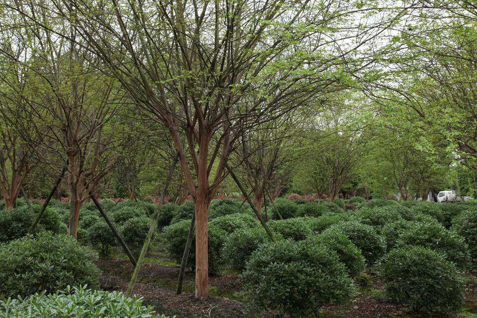 创业板园林概念股票排名（202591）