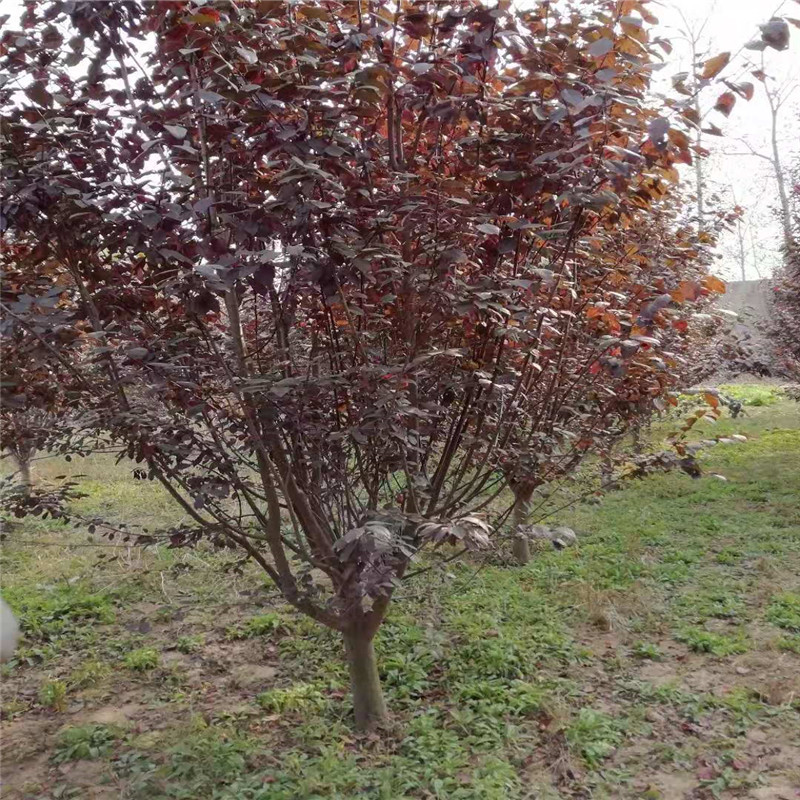 铜陵市住房和城乡建设局下属单位